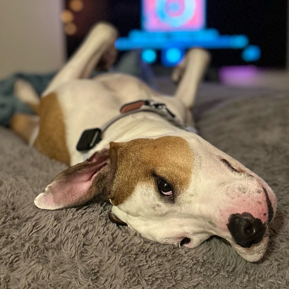 Meet your Posher, Ana - Picture 15 of 16